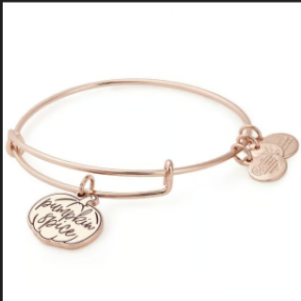 ❇️Alex & Ani Retired 2018 Pumpkin Spice II Expandable bracelet NIB